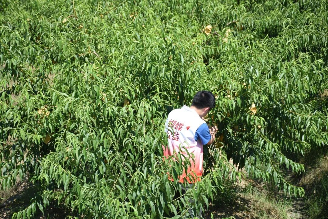 640 (12)_25001640 (12)