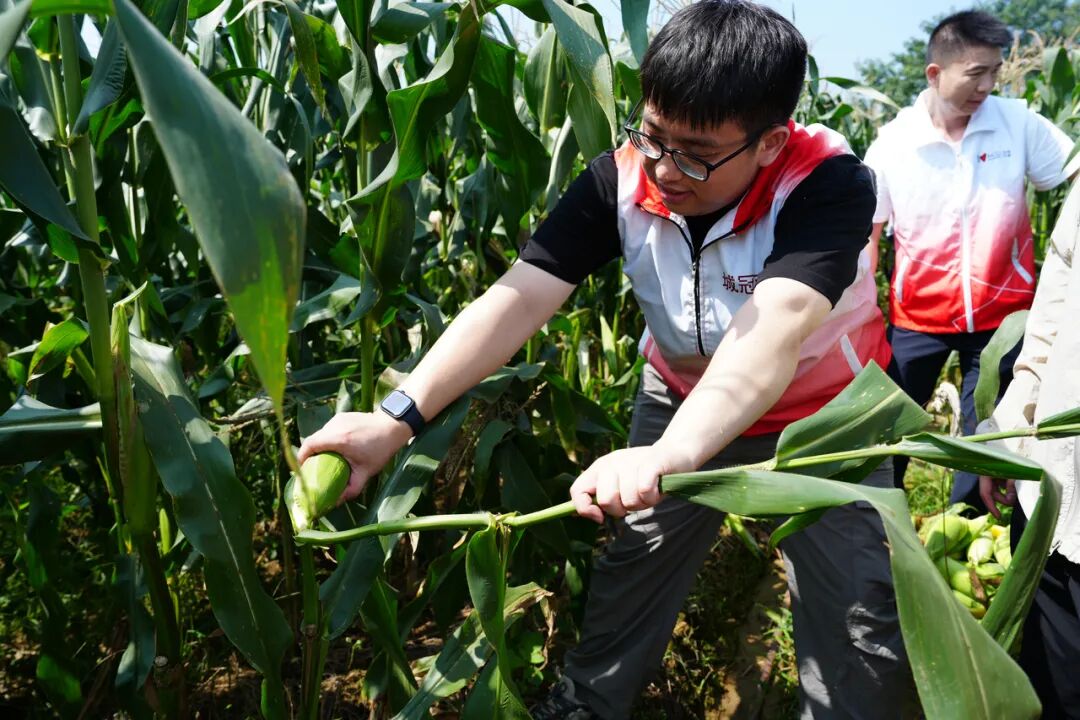 640 (16)_17257640 (16)