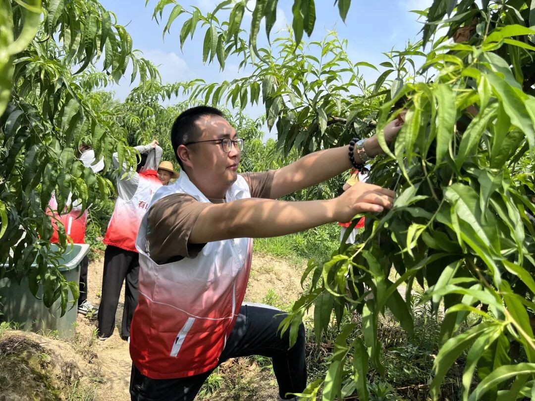 640 (14)_89651640 (14)